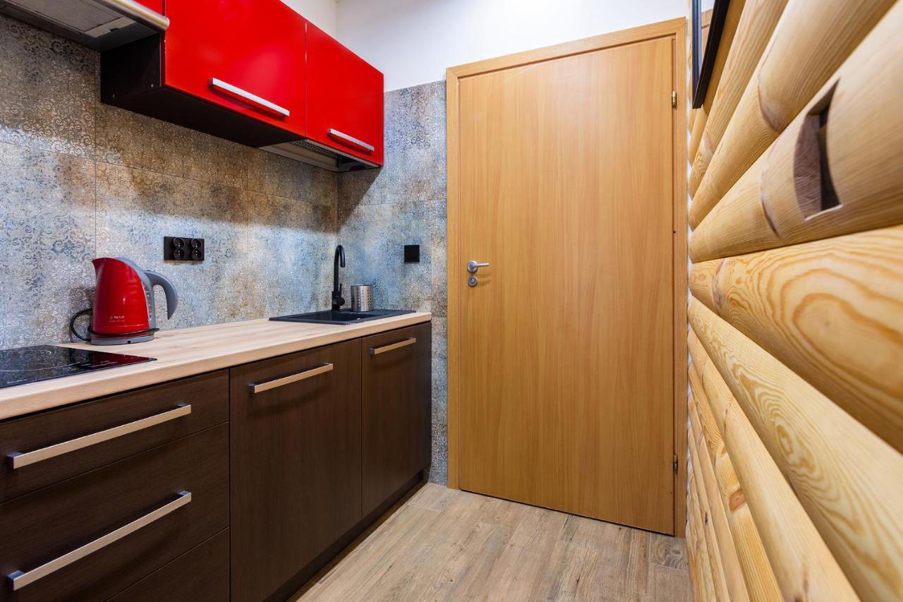 Apartamenty Brzozowa - Centrum ザコパネ エクステリア 写真