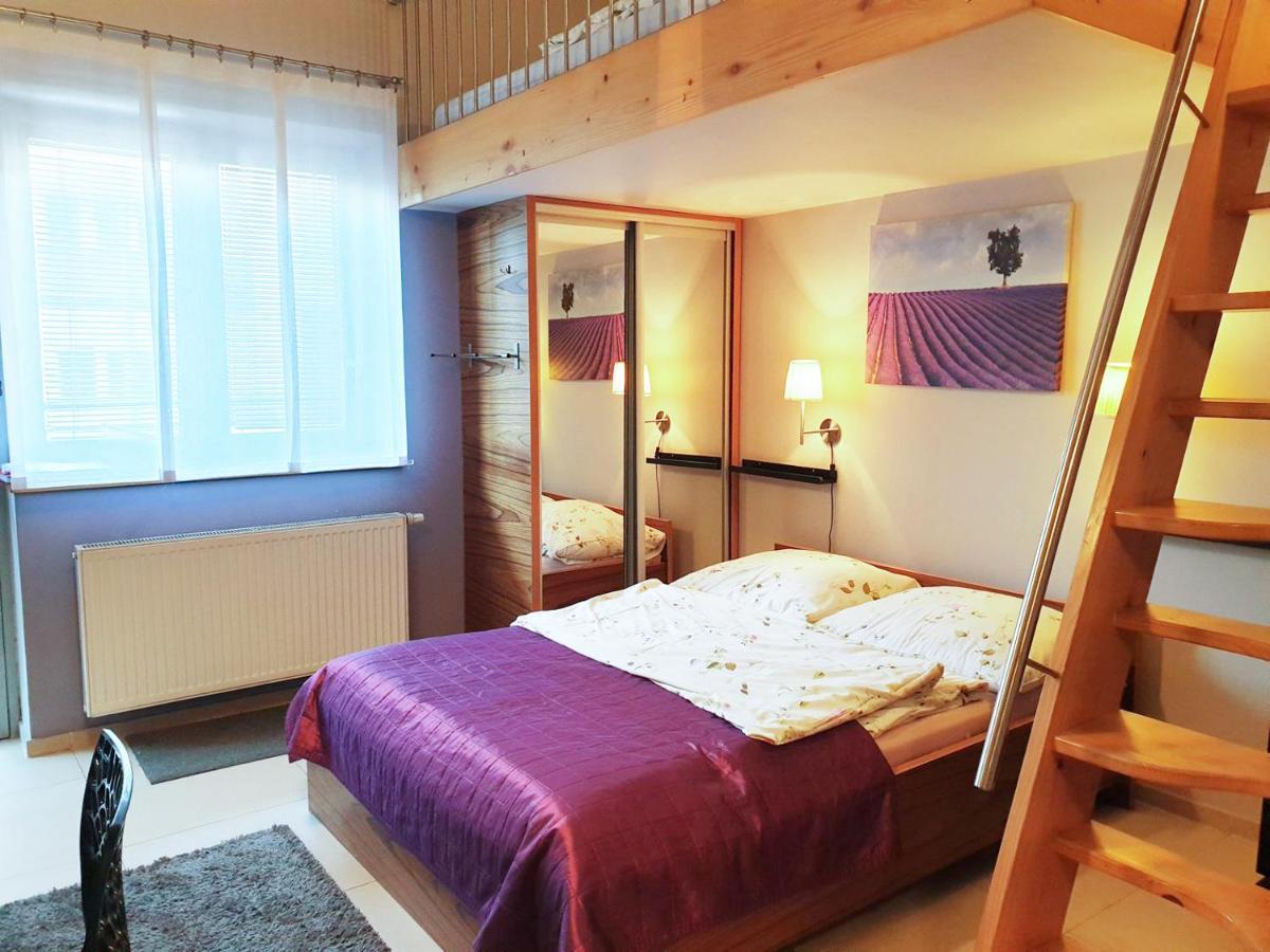 Apartamenty Brzozowa - Centrum ザコパネ エクステリア 写真