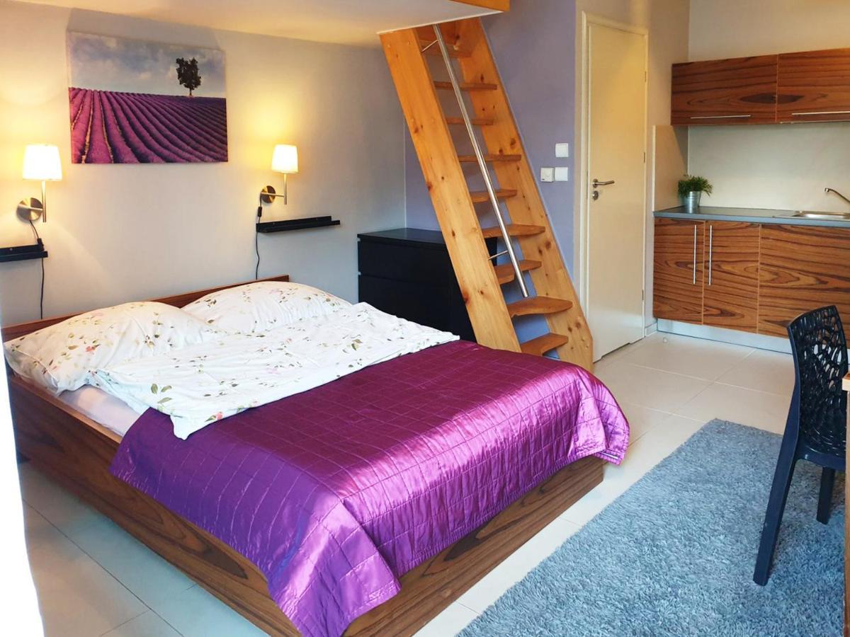 Apartamenty Brzozowa - Centrum ザコパネ エクステリア 写真
