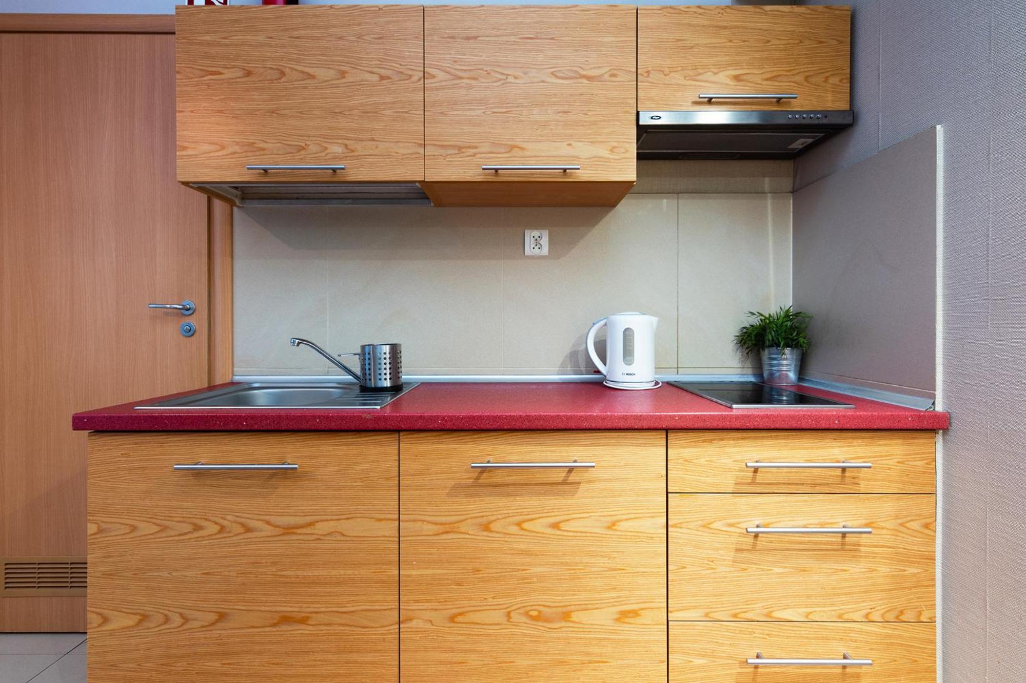 Apartamenty Brzozowa - Centrum ザコパネ エクステリア 写真